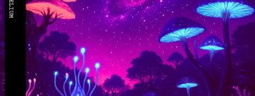 Stellar Mycelium – Charsedo Stellar Mycelium – Charsedo